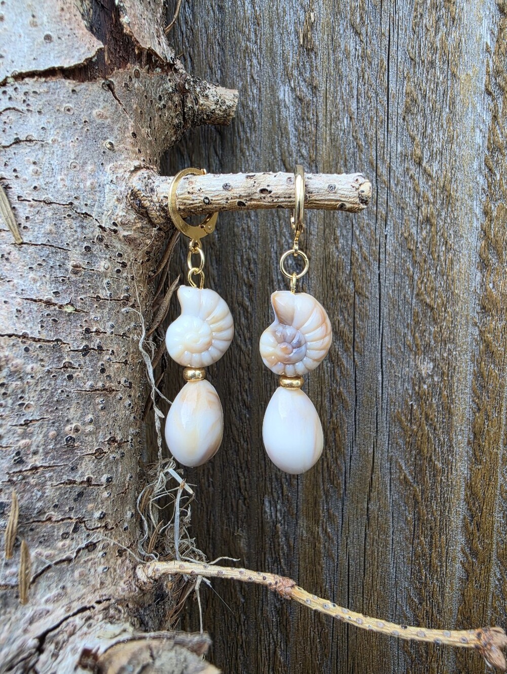 18k Gold Plated Natural Nautilus & Cowrie Shell Drop Earrings